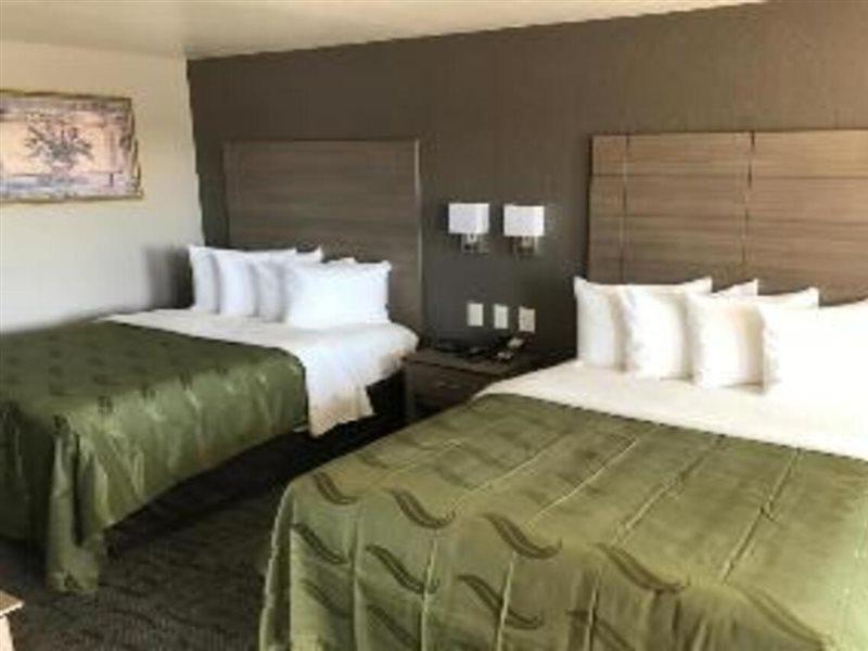 Quality Inn I-10 East Near Frost Bank Center San Antonio Bagian luar foto